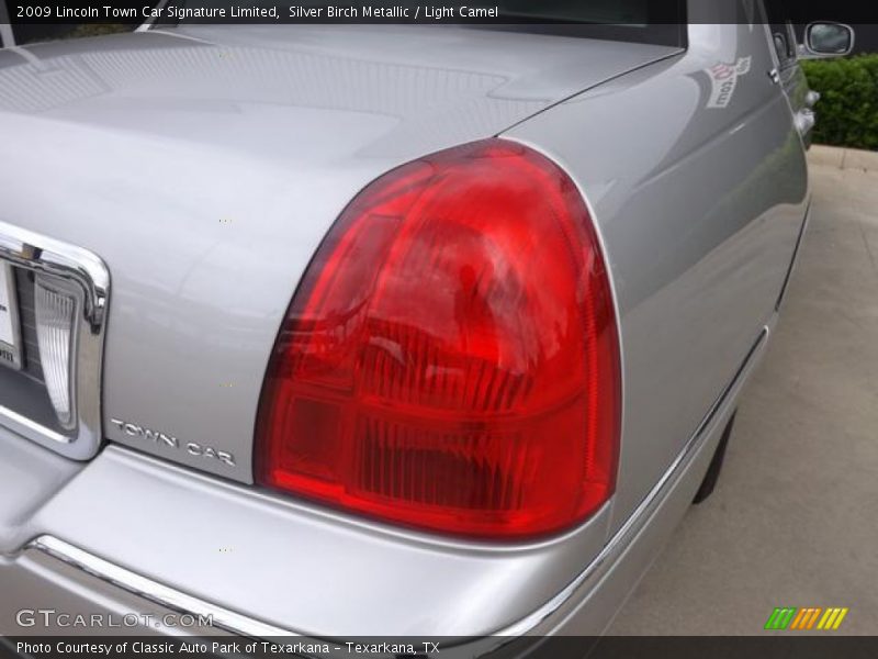 Silver Birch Metallic / Light Camel 2009 Lincoln Town Car Signature Limited