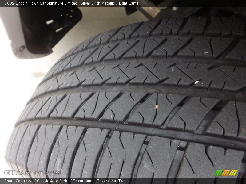 Silver Birch Metallic / Light Camel 2009 Lincoln Town Car Signature Limited