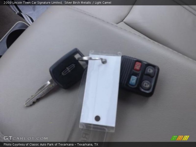 Silver Birch Metallic / Light Camel 2009 Lincoln Town Car Signature Limited