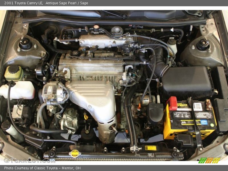 Antique Sage Pearl / Sage 2001 Toyota Camry LE
