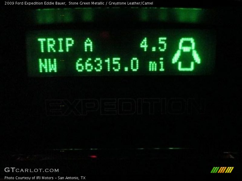 Stone Green Metallic / Greystone Leather/Camel 2009 Ford Expedition Eddie Bauer