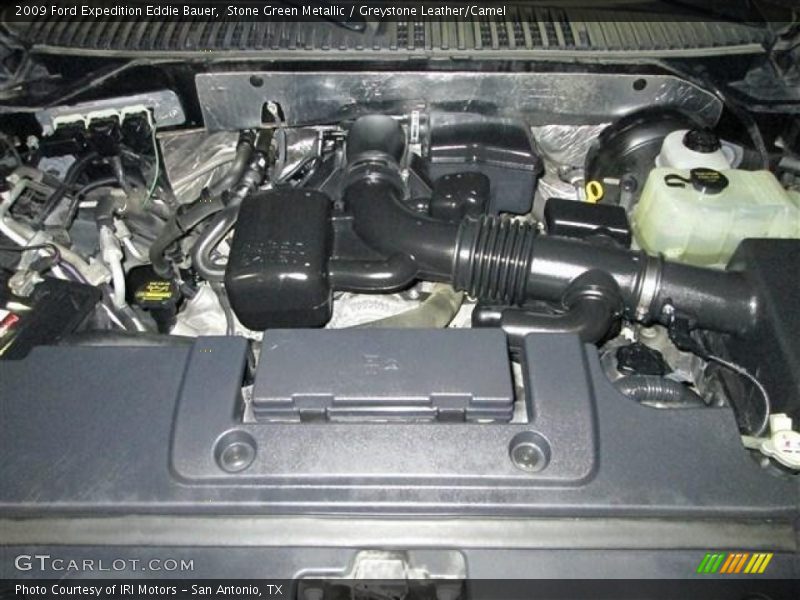 Stone Green Metallic / Greystone Leather/Camel 2009 Ford Expedition Eddie Bauer