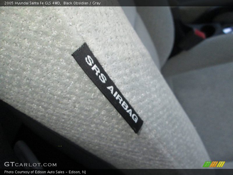 Black Obsidian / Gray 2005 Hyundai Santa Fe GLS 4WD