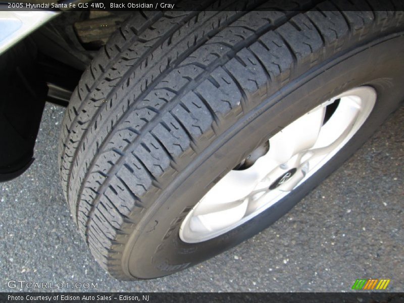 Black Obsidian / Gray 2005 Hyundai Santa Fe GLS 4WD