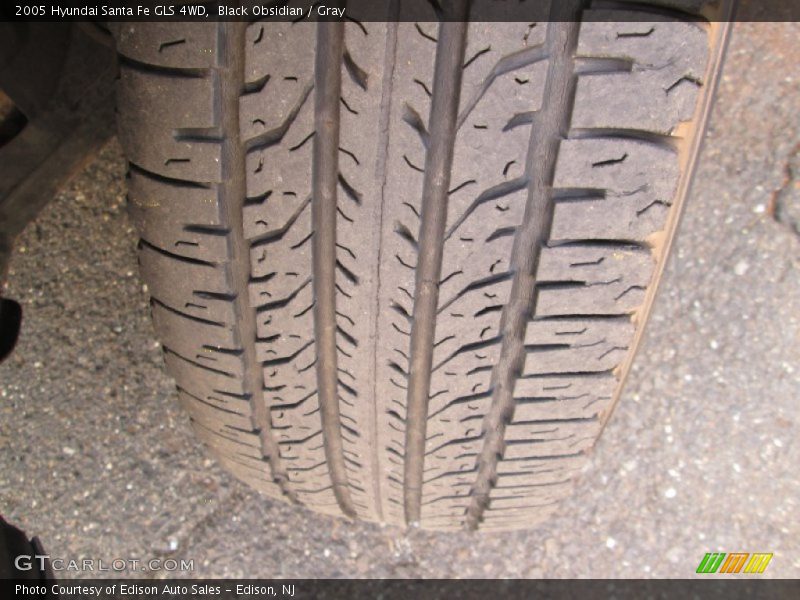 Black Obsidian / Gray 2005 Hyundai Santa Fe GLS 4WD