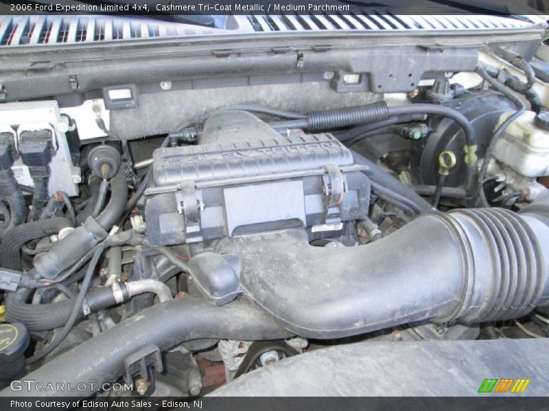 Cashmere Tri-Coat Metallic / Medium Parchment 2006 Ford Expedition Limited 4x4