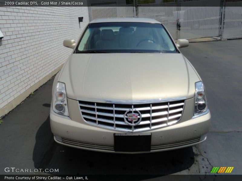 Gold Mist / Shale/Cocoa 2009 Cadillac DTS