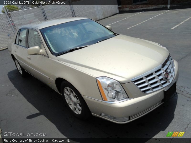 Gold Mist / Shale/Cocoa 2009 Cadillac DTS