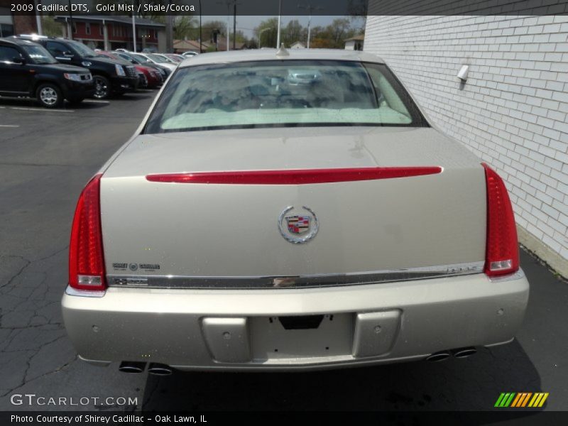 Gold Mist / Shale/Cocoa 2009 Cadillac DTS