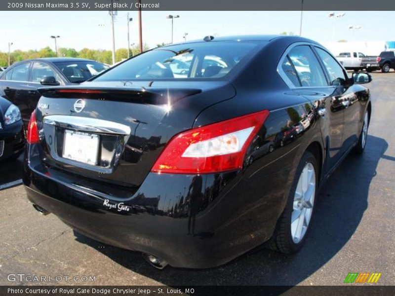 Super Black / Charcoal 2009 Nissan Maxima 3.5 SV