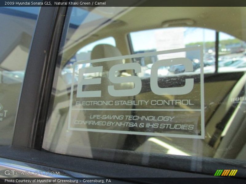 Natural Khaki Green / Camel 2009 Hyundai Sonata GLS