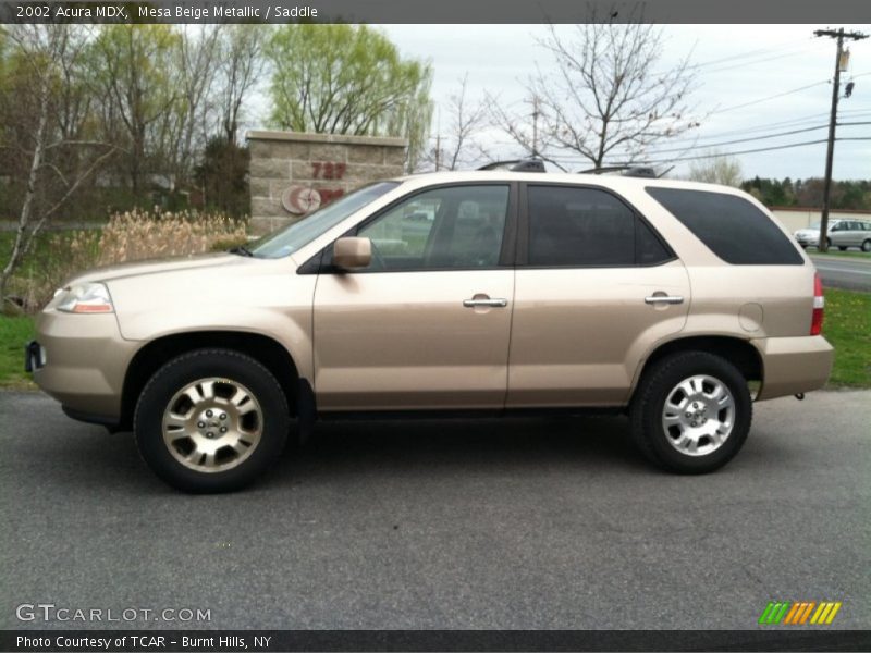 Mesa Beige Metallic / Saddle 2002 Acura MDX