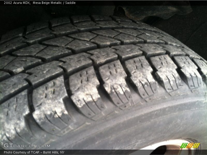 Mesa Beige Metallic / Saddle 2002 Acura MDX
