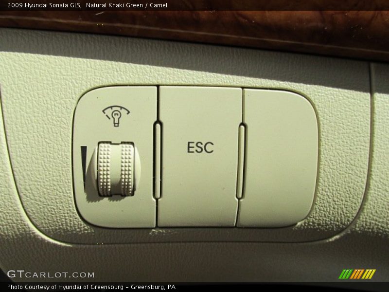 Natural Khaki Green / Camel 2009 Hyundai Sonata GLS