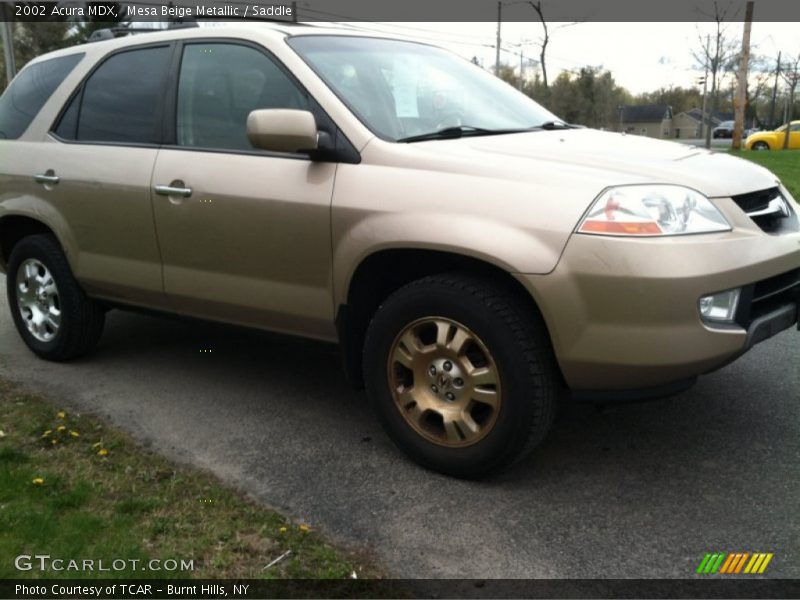 Mesa Beige Metallic / Saddle 2002 Acura MDX