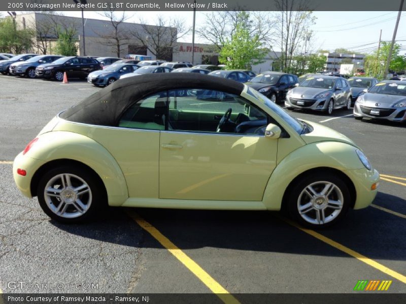 Mellow Yellow / Black 2005 Volkswagen New Beetle GLS 1.8T Convertible