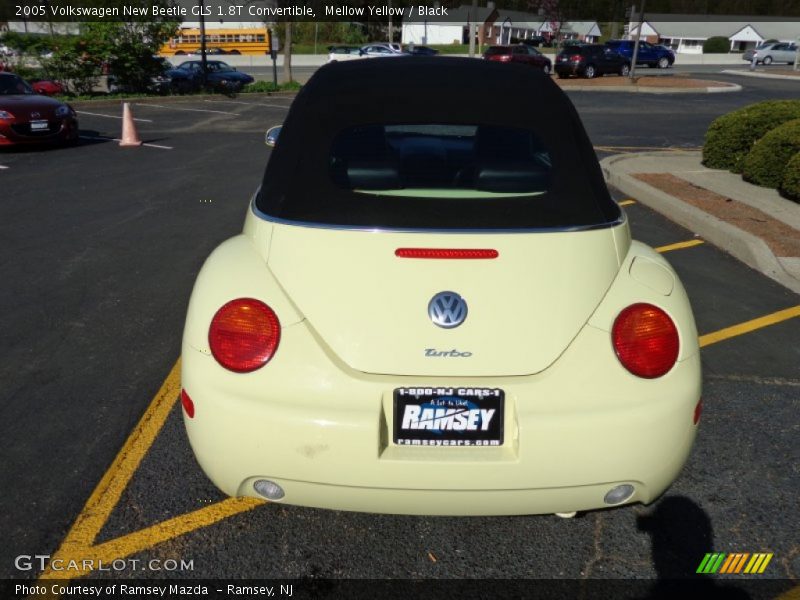 Mellow Yellow / Black 2005 Volkswagen New Beetle GLS 1.8T Convertible
