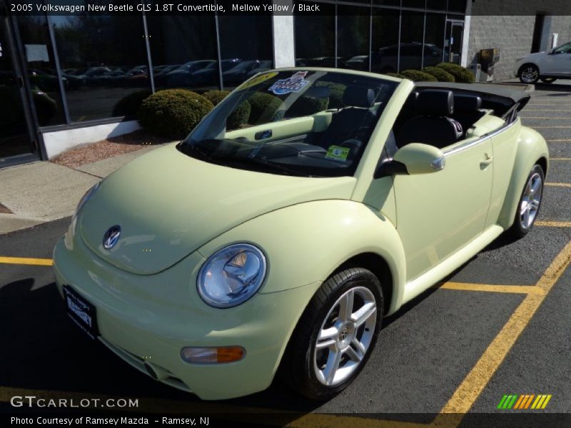 Mellow Yellow / Black 2005 Volkswagen New Beetle GLS 1.8T Convertible