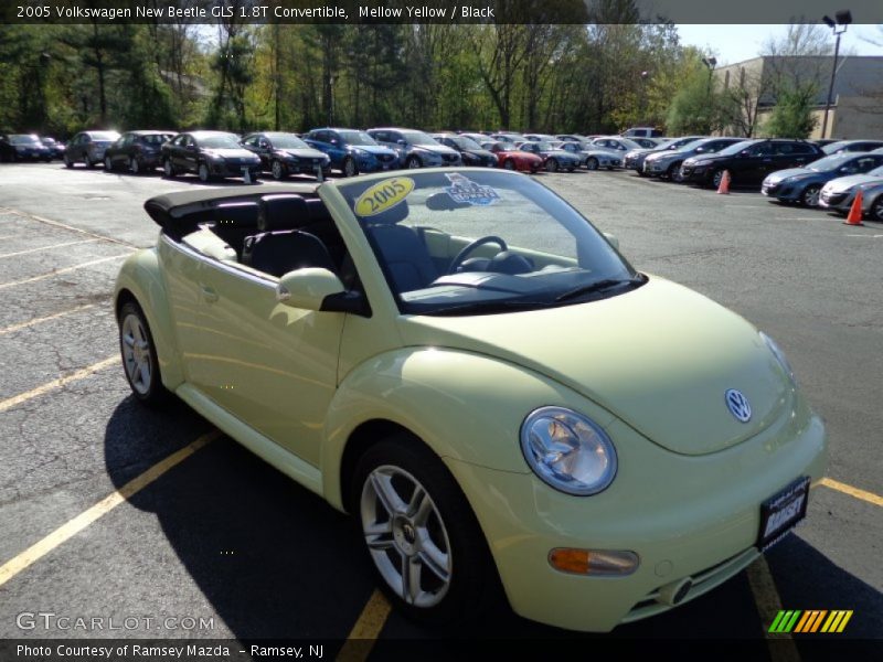 Mellow Yellow / Black 2005 Volkswagen New Beetle GLS 1.8T Convertible