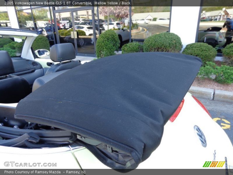Mellow Yellow / Black 2005 Volkswagen New Beetle GLS 1.8T Convertible