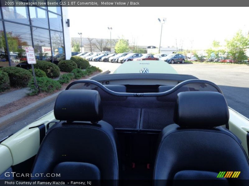 Mellow Yellow / Black 2005 Volkswagen New Beetle GLS 1.8T Convertible