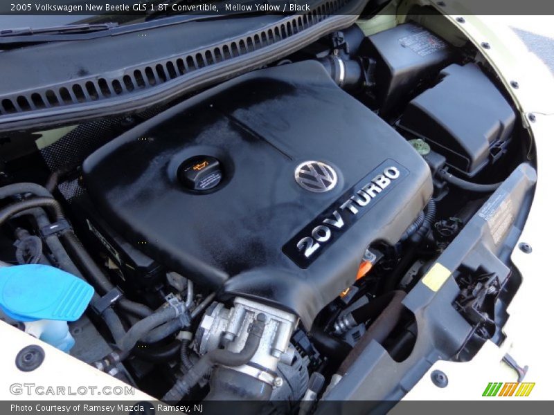 Mellow Yellow / Black 2005 Volkswagen New Beetle GLS 1.8T Convertible