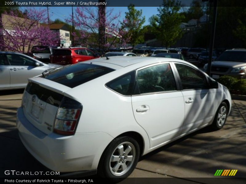 Super White / Gray/Burgundy 2005 Toyota Prius Hybrid
