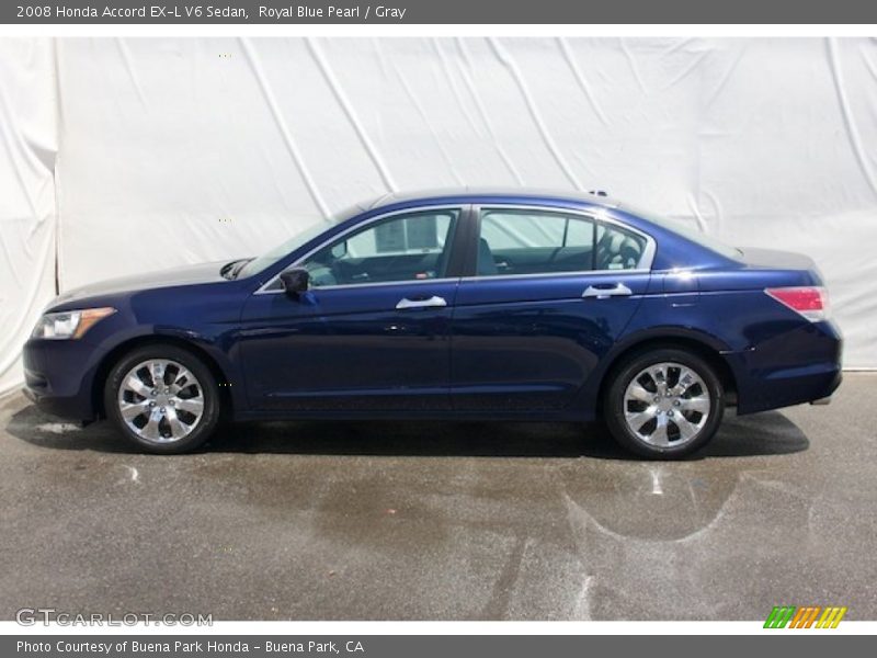 Royal Blue Pearl / Gray 2008 Honda Accord EX-L V6 Sedan
