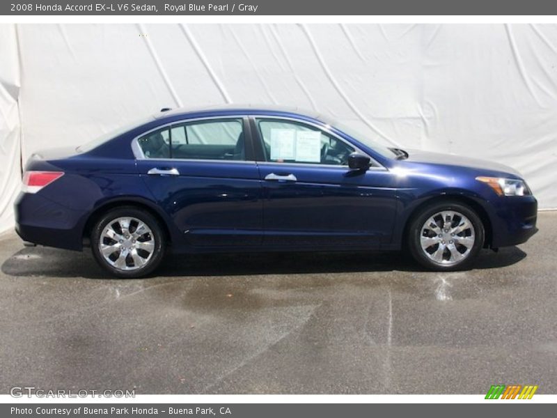 Royal Blue Pearl / Gray 2008 Honda Accord EX-L V6 Sedan