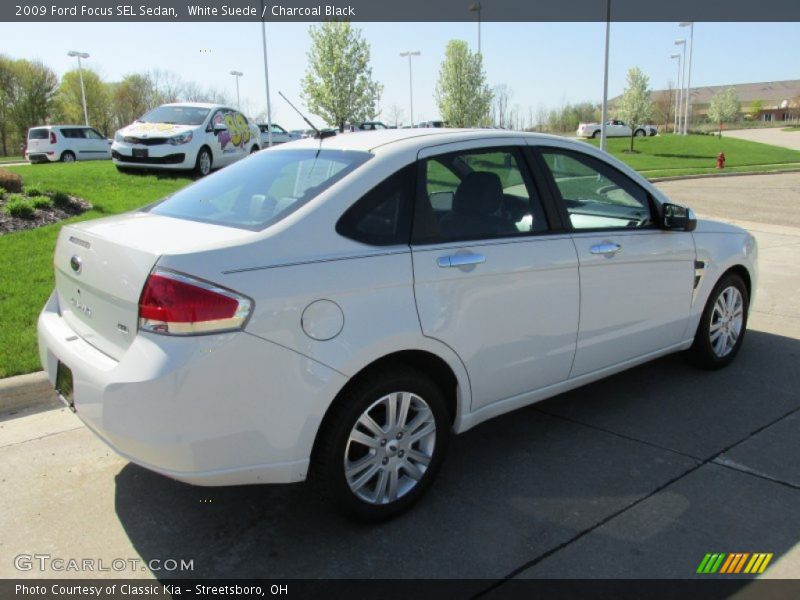 White Suede / Charcoal Black 2009 Ford Focus SEL Sedan