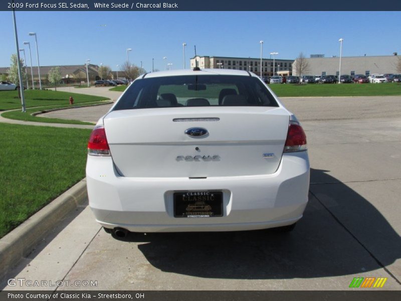 White Suede / Charcoal Black 2009 Ford Focus SEL Sedan
