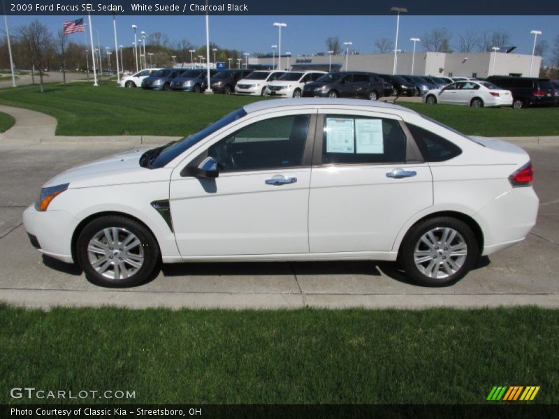 White Suede / Charcoal Black 2009 Ford Focus SEL Sedan