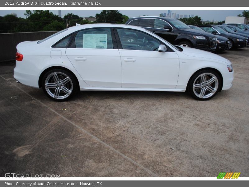 Ibis White / Black 2013 Audi S4 3.0T quattro Sedan