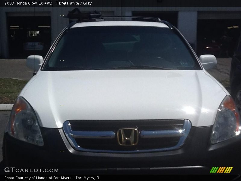 Taffeta White / Gray 2003 Honda CR-V EX 4WD