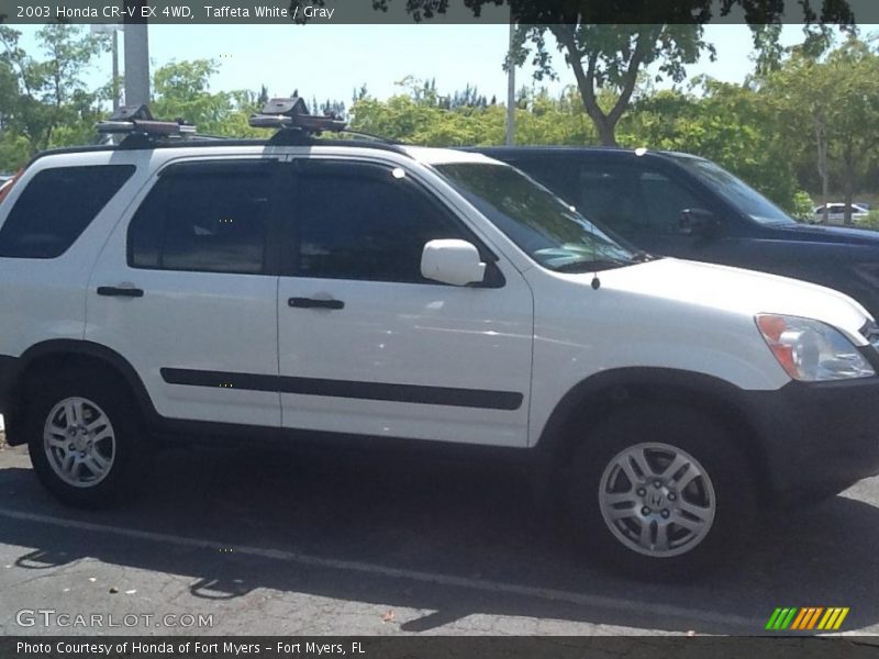 Taffeta White / Gray 2003 Honda CR-V EX 4WD