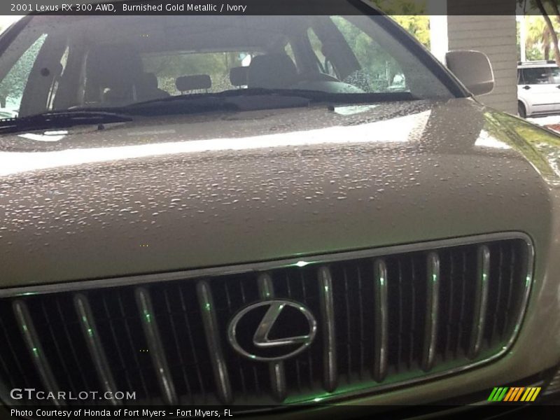Burnished Gold Metallic / Ivory 2001 Lexus RX 300 AWD