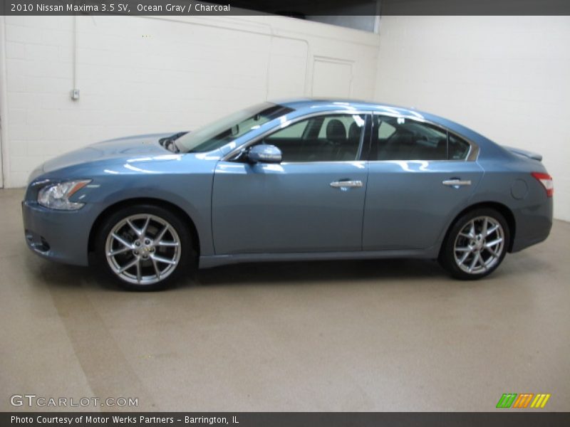 Ocean Gray / Charcoal 2010 Nissan Maxima 3.5 SV