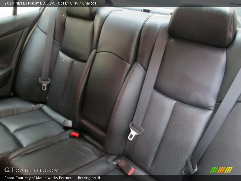 Ocean Gray / Charcoal 2010 Nissan Maxima 3.5 SV