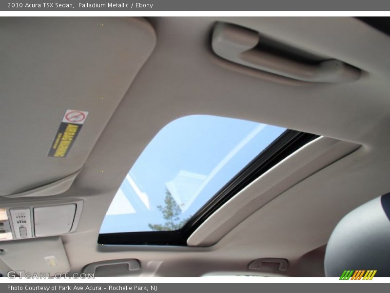 Palladium Metallic / Ebony 2010 Acura TSX Sedan