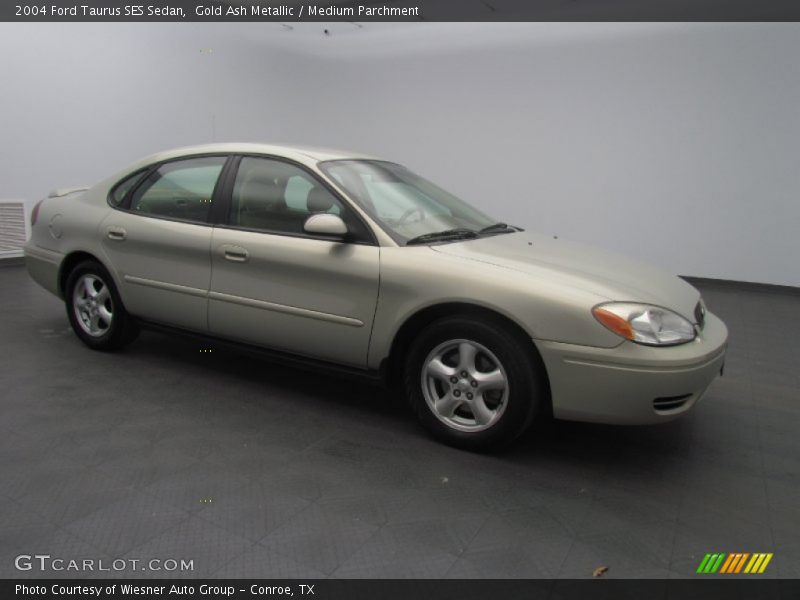 Gold Ash Metallic / Medium Parchment 2004 Ford Taurus SES Sedan