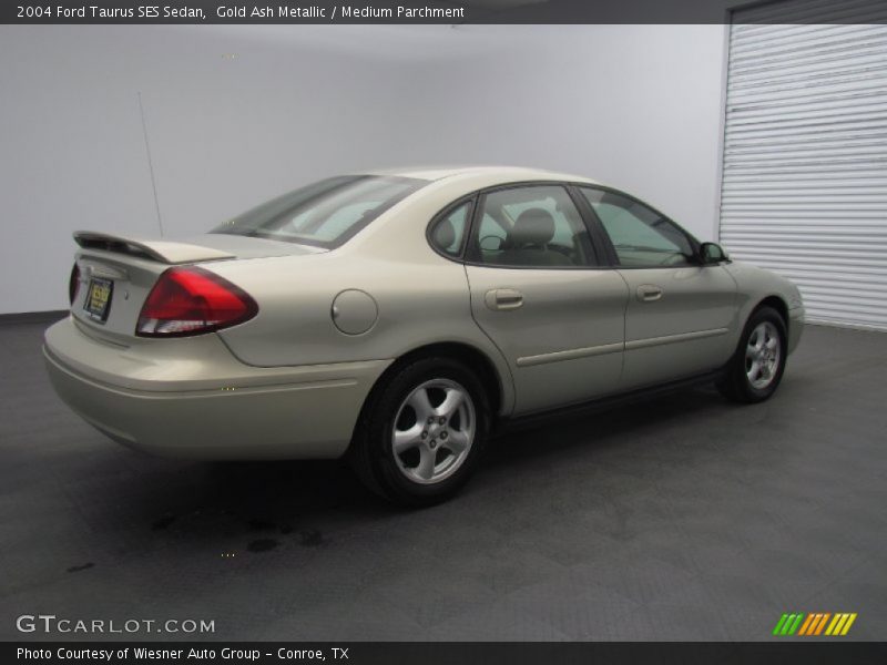 Gold Ash Metallic / Medium Parchment 2004 Ford Taurus SES Sedan
