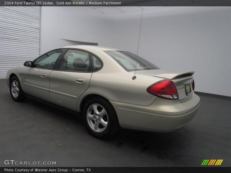 Gold Ash Metallic / Medium Parchment 2004 Ford Taurus SES Sedan