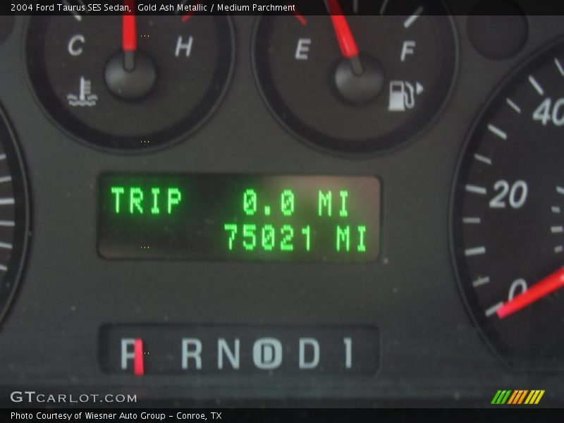 Gold Ash Metallic / Medium Parchment 2004 Ford Taurus SES Sedan