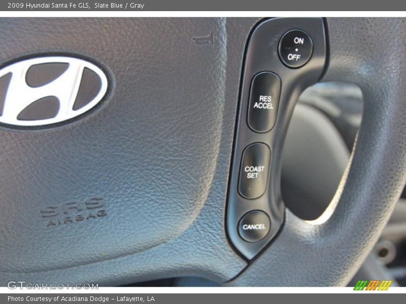 Slate Blue / Gray 2009 Hyundai Santa Fe GLS