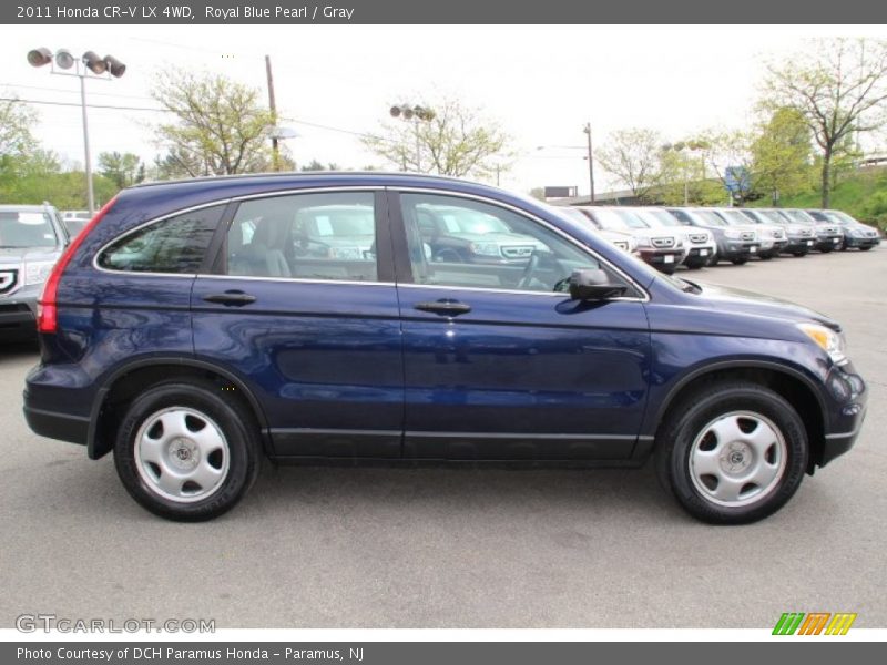 Royal Blue Pearl / Gray 2011 Honda CR-V LX 4WD