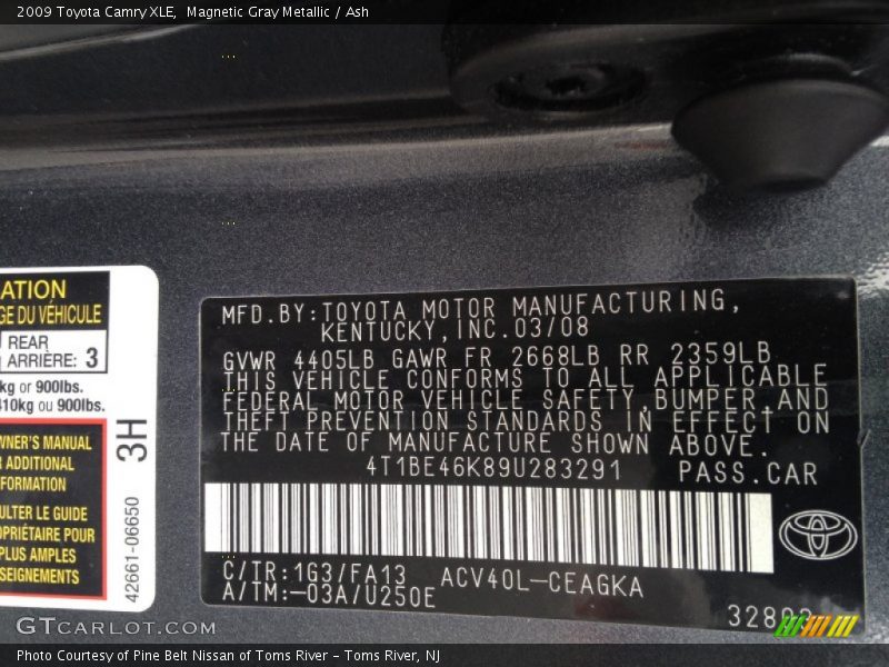 Magnetic Gray Metallic / Ash 2009 Toyota Camry XLE