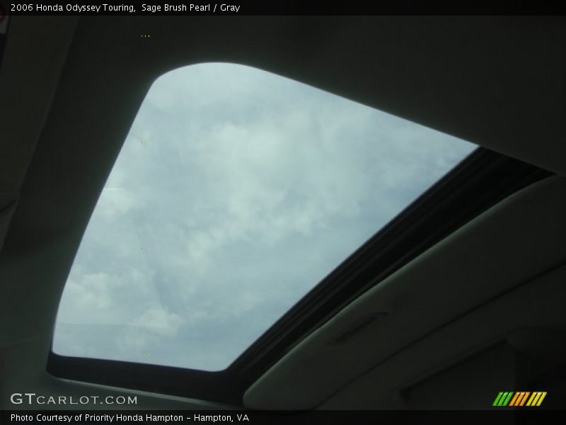 Sage Brush Pearl / Gray 2006 Honda Odyssey Touring