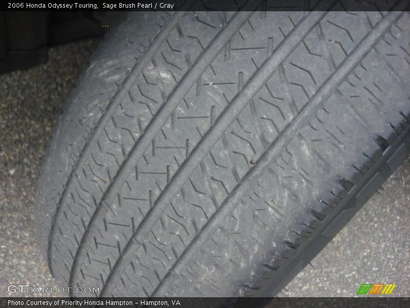 Sage Brush Pearl / Gray 2006 Honda Odyssey Touring