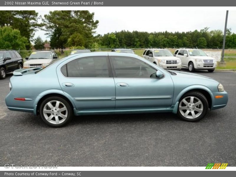 Sherwood Green Pearl / Blond 2002 Nissan Maxima GLE