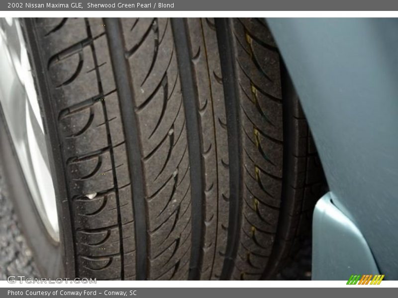 Sherwood Green Pearl / Blond 2002 Nissan Maxima GLE